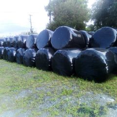 Bales silage100