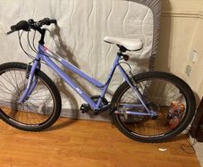 Ignite Santena Bike 24"