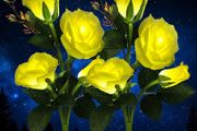 Solar Lights Outdoor Garden, Garden Light Solar Powered with 8 Rose Flowers Garden Ornaments, 2 Pack Yellow Outside Waterproof Solar Garden Lighting for Christmas Gift Valentines Gifts for him