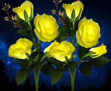 Solar Lights Outdoor Garden, Garden Light Solar Powered with 8 Rose Flowers Garden Ornaments, 2 Pack Yellow Outside Waterproof Solar Garden Lighting for Christmas Gift Valentines Gifts for him