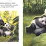 Children book Board book (Price for 1book) New Image 3
