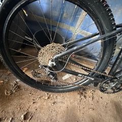 barracuda gents bike