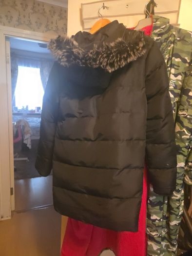 canada goose