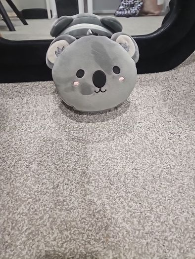 travel pillow