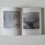 Dublin Decorative Plasterwork: Of the Seventeenth and Eighteenth Centuries hardback by C.P. Curran (1967 first edition) art architecture Irish interest history Image 4