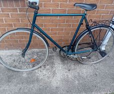 adults bike