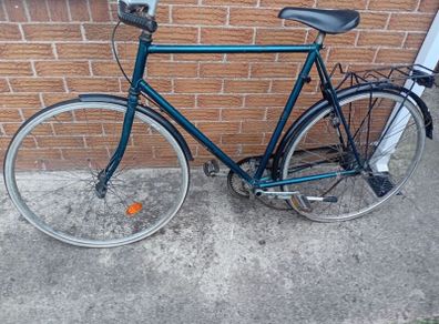 adults bike