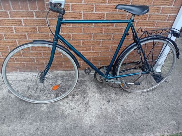 adults bike