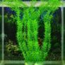 Plastic Artificial Fish tank plant Image 4