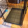 Petworld Premium Giant Dog Crate, Sliding Doors, Foldable, 122cm Image 3