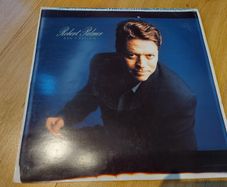 Robert Palmer - Don't Explain - Double Vinyl Record + Hundreds More