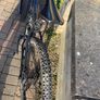 TREK Marlin 5 Image 2