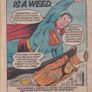 2000ad #240 (28th Nov 1981) Ipc Magazines Uk Comic Image 2
