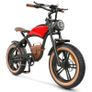 HIDOES B10 Electric Bike Image 4
