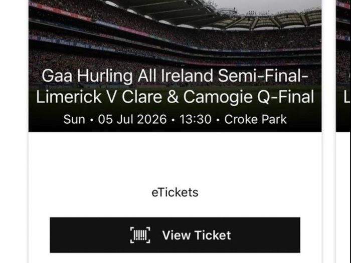 2 x Limerick vs Clare Hogan Stand