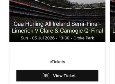 2 x Limerick vs Clare Hogan Stand