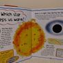My First Question And Answer Educational Book Image 5