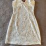 BNWT Edikted Ayala Lace Sheer Minidress Image 5