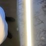 led light Image 4