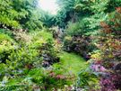 Garden services Image 10