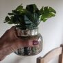 Artificial Plants in Ceramic, Glass, Stone & PVC Pots x8 Image 10
