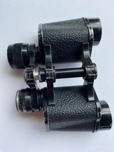 Vintage Binoculars by Mason Dublin