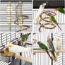 Large Aviary Cage for Parrots Inseparable Large with Pedestal Metal Wheels for Indoor Outdoor 65.5 x 65.5 x 156 cm Black Image 9