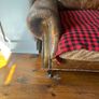 Leather Sofa Image 3