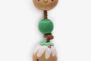 Christmas Pudding Rope Toy