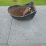 Cast Iron Drinker Image 2