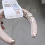 JUNONA hairband Image 3