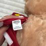 Build A Bear BAB Flash Plush DC Comics Justice League approx. 18 Used Dirty Please see pictures Image 9