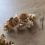 Two artificial mini pinecone picks Image 2