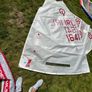 Optimist sails Image 5