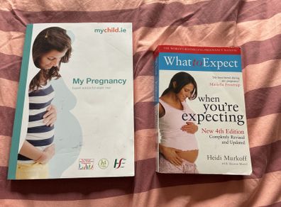 Pregnancy Books