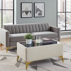 Velvet coffee table with glass 58x78