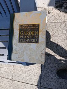 gardening plants & flowers