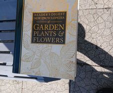 gardening plants & flowers