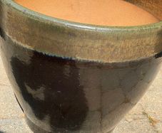 Garden plant pot