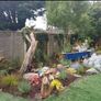 Soft landscaping services North Dublin Image 6