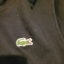 mens lacoste hoodie Image 2