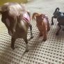 Four Toy Horses Image 5