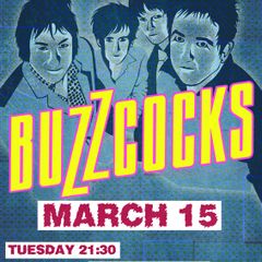 Buzzcocks - Barby Tel Aviv - Rare Mini Print/Poster