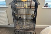 Bird cage
