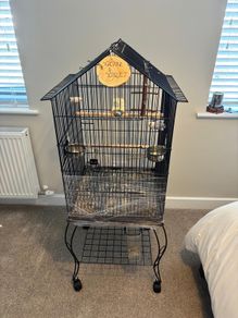 Bird cage
