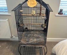 Bird cage