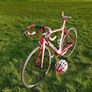Turas RR1.0 carbon bike Image 2
