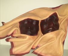 Pressed Leather Masks