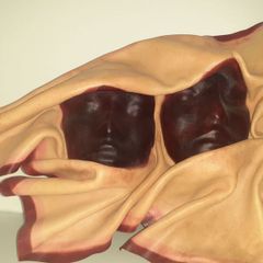 Pressed Leather Masks