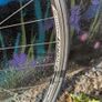 Fixie rear wheel, Fixed gear, single speed. Image 3